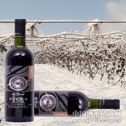 紫隆山紅寶石冰酒 品味時(shí)光凝萃，共創(chuàng)財(cái)富未來(lái)——通化紫隆山葡萄酒廠火熱招商